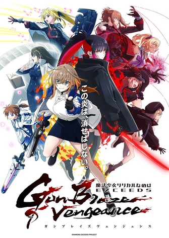 《魔法少女奈葉 EXCEEDS Gun Blaze Vengeance》示意圖