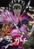 《天下第一 日本最強武術家決定戰》視覺圖第2張縮圖