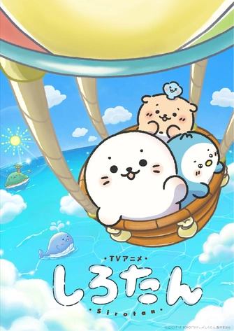 海豹小白 主視覺圖