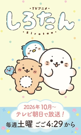 海豹小白