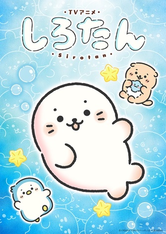 《海豹小白》示意圖